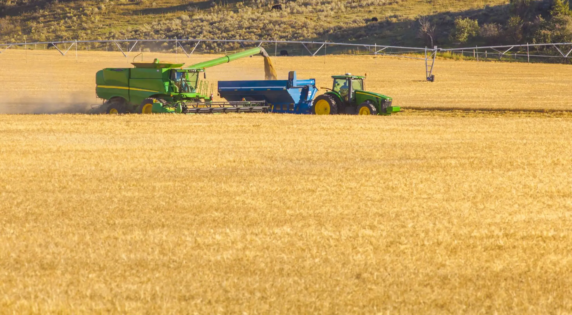 Harvest Ready Starts Now